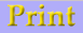 Print Mini
